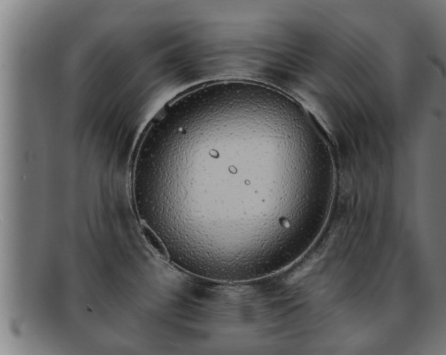 X0000091861340200709121322