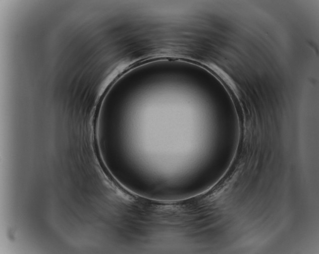 X0000091861341200709121322