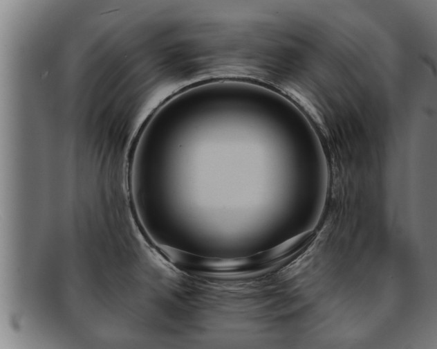 X0000091861342200709121322