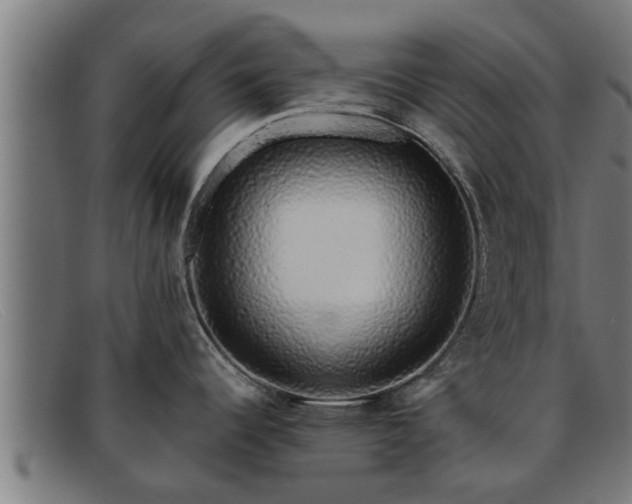 X0000091861344200709121323