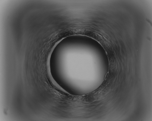 X0000091861345200709121322