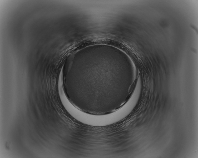 X0000091861348200709121322