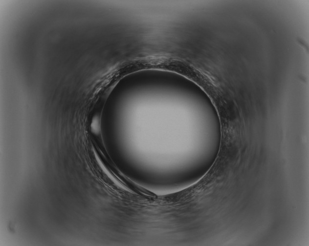 X0000091861349200709121322