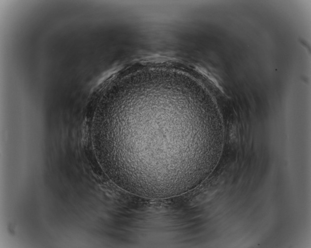 X0000091861350200709121322