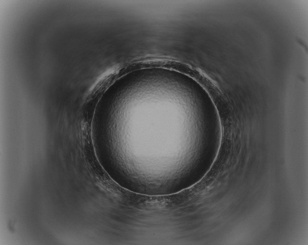 X0000091861351200709121322