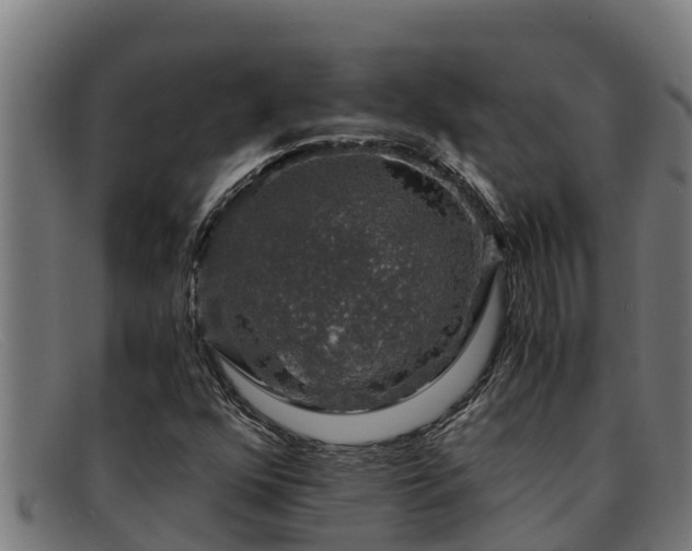 X0000091861352200709121322