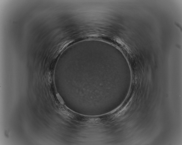 X0000091861353200709121322