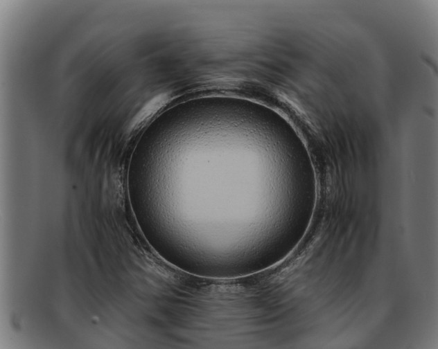 X0000091861354200709121322