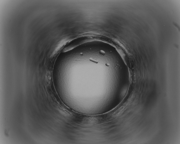 X0000091861355200709121322