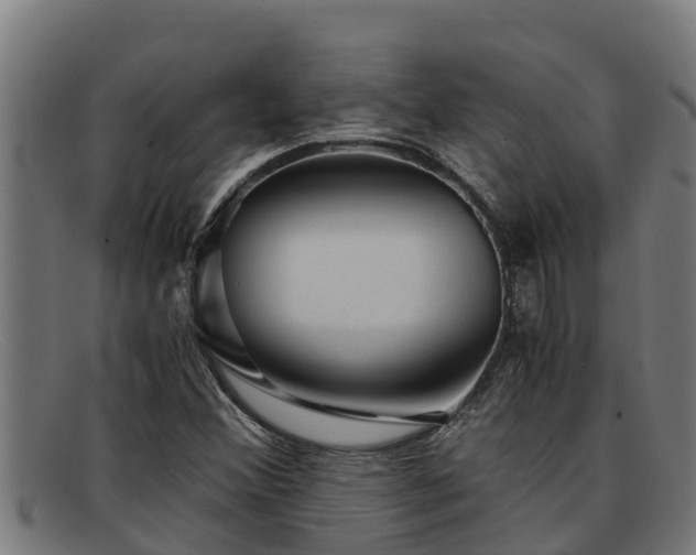 X0000091861356200709121322