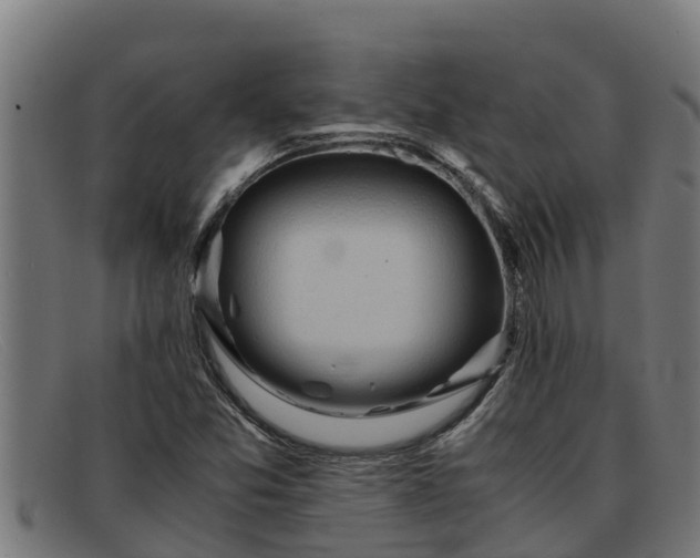 X0000091861357200709121322