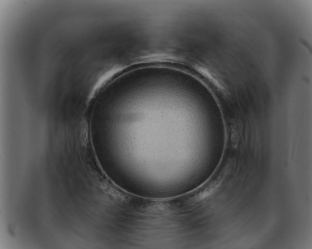 X0000091861358200709121322