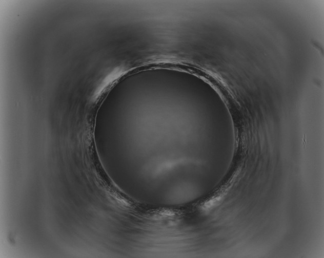 X0000091861359200709121322