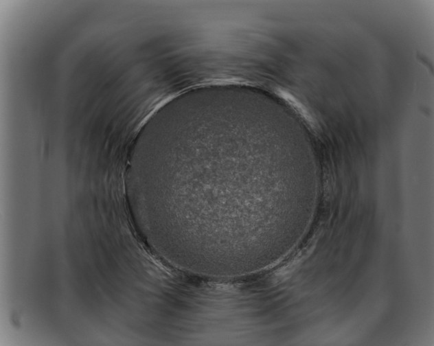 X0000091861361200709121322