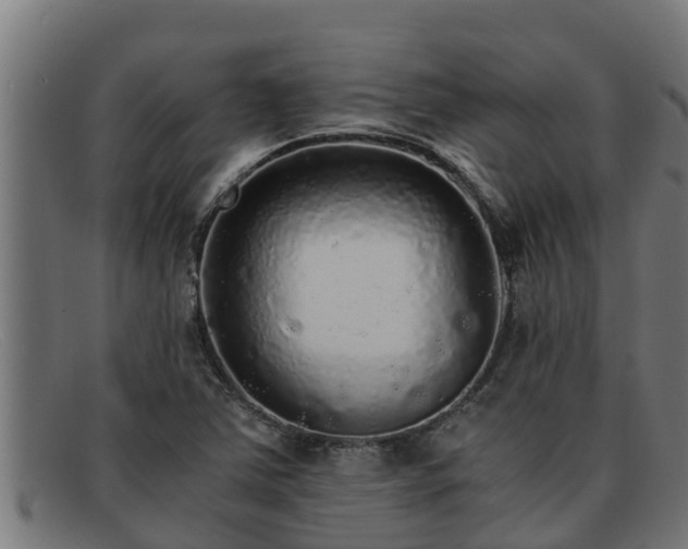 X0000091861363200709121322