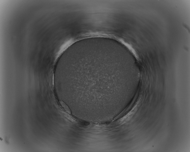 X0000091861365200709121322