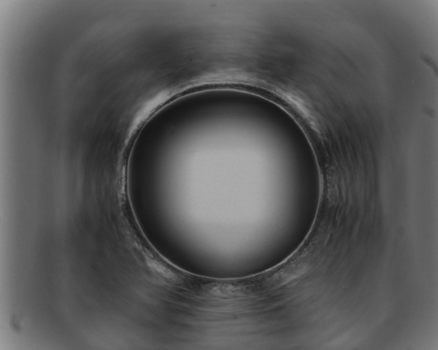 X0000091861366200709121322