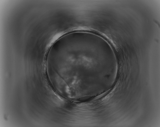 X0000091861367200709121322