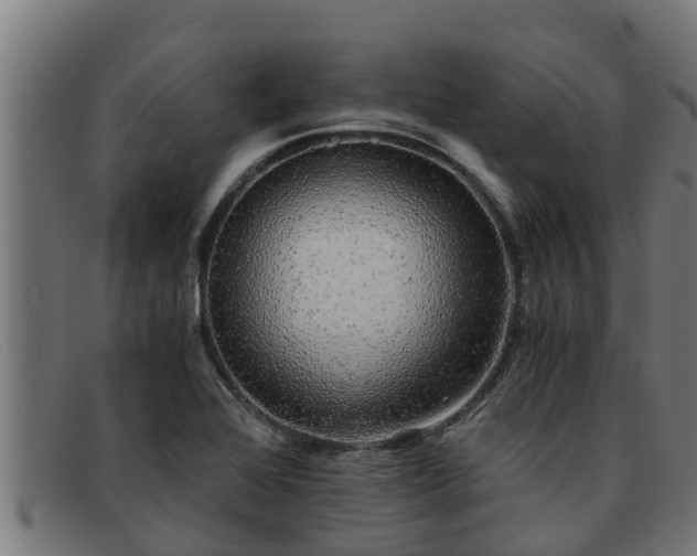 X0000091861368200709121322