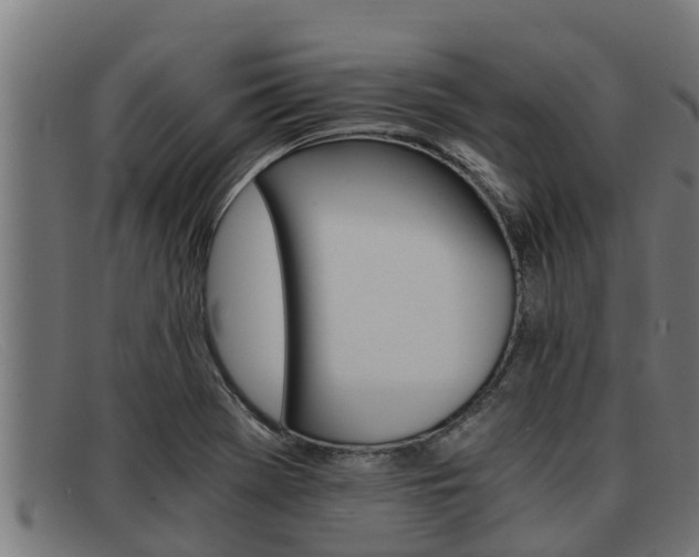 X0000091861369200709121322