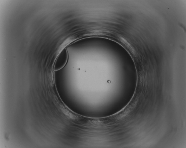 X0000091861370200709121322