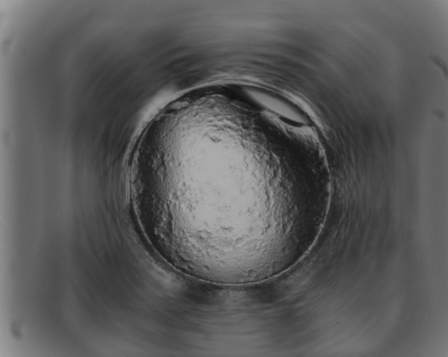 X0000091861371200709121322