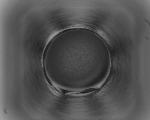 X0000091861372200709121322