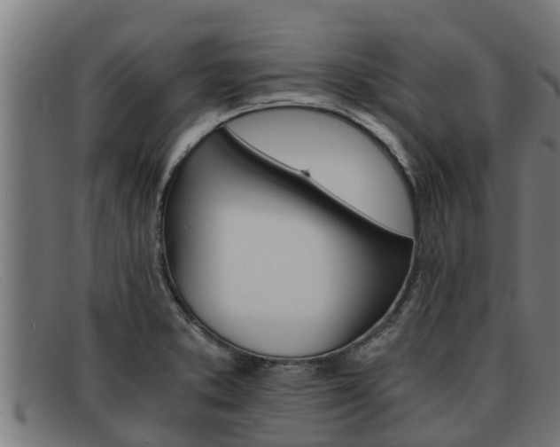 X0000091861373200709121322