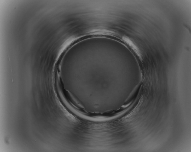 X0000091861376200709121322