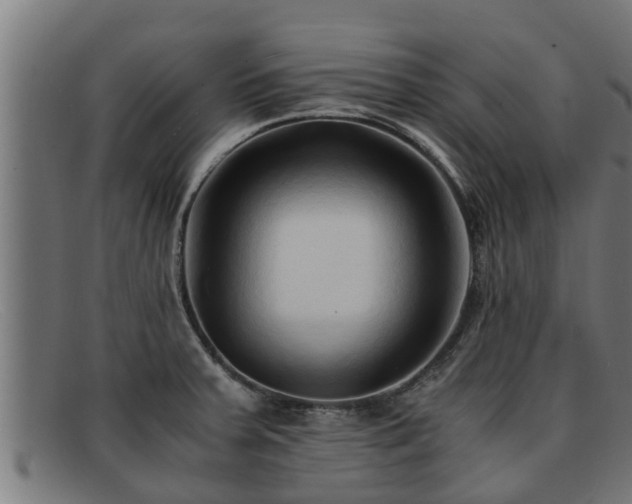 X0000091861379200709121322