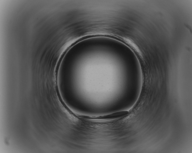 X0000091861380200709121322