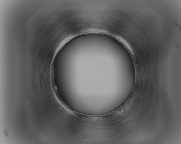 X0000091861381200709121322