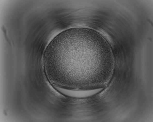 X0000091861382200709121321