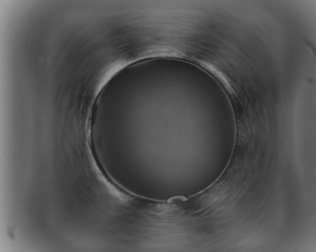 X0000091861383200709121321