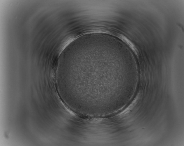 X0000091861385200709121321