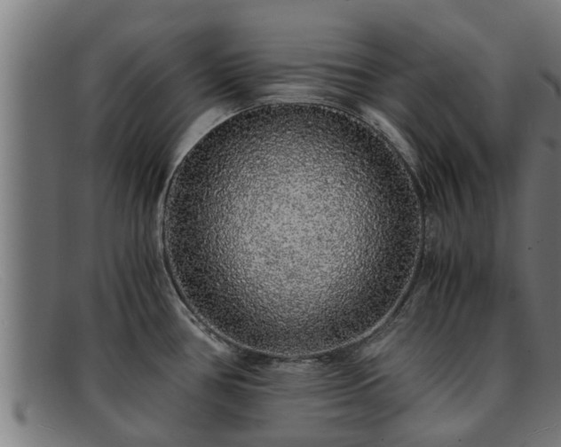 X0000091861386200709121321