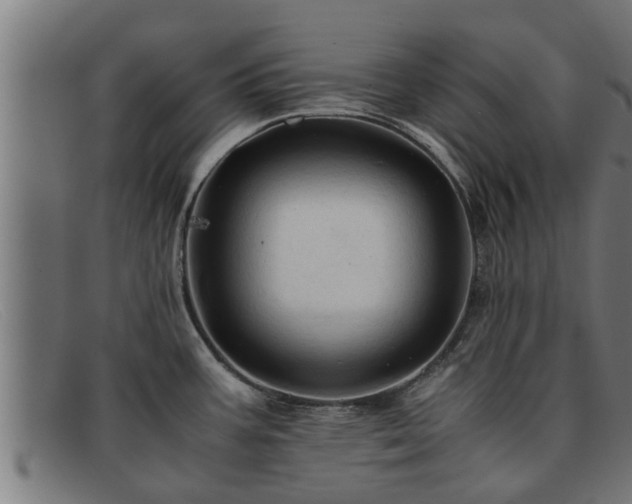 X0000091861387200709121321