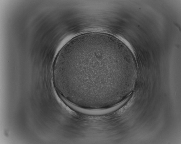 X0000091861389200709121321