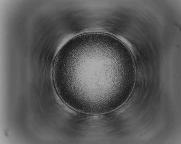 X0000091861390200709121321