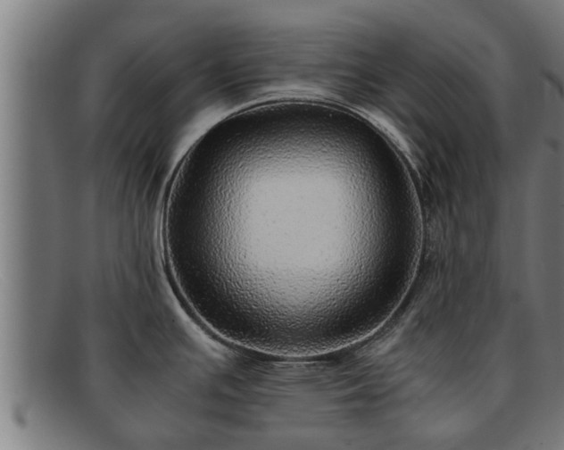 X0000091861391200709121321