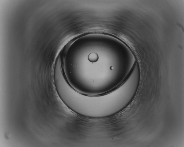 X0000091861392200709121321