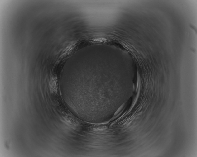 X0000091861394200709121321