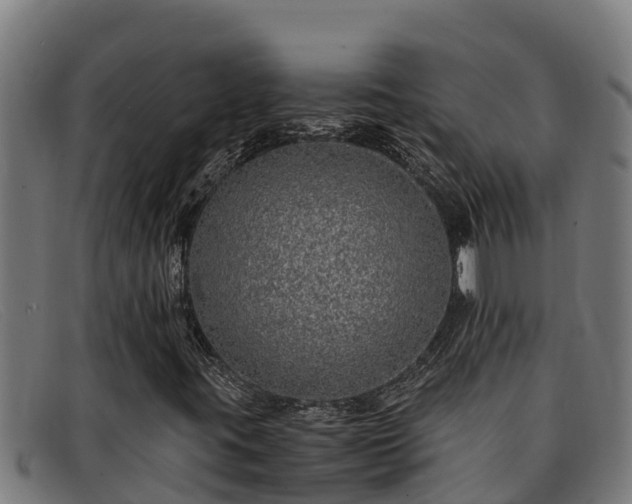 X0000091861395200709121321