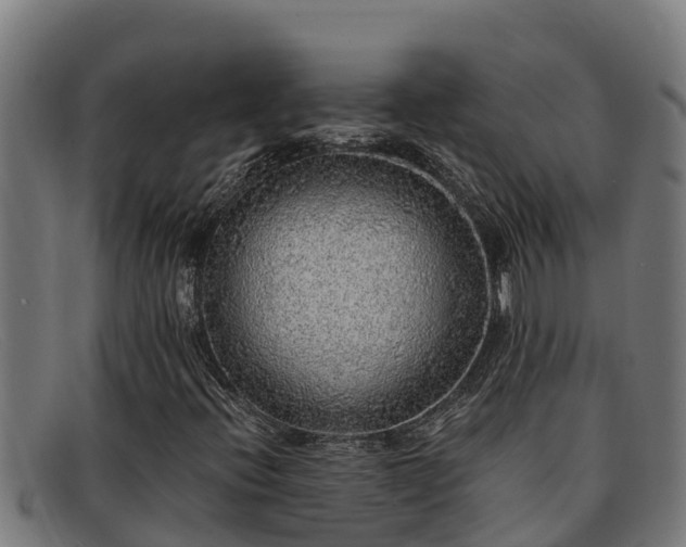 X0000091861396200709121321