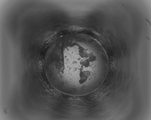 X0000091861397200709121321