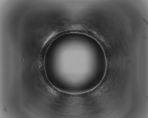 X0000091861400200709121321