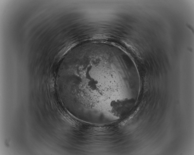 X0000091861401200709121321