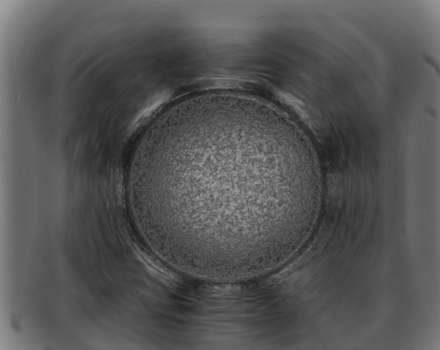 X0000091861403200709121321