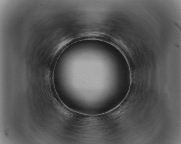 X0000091861404200709121321