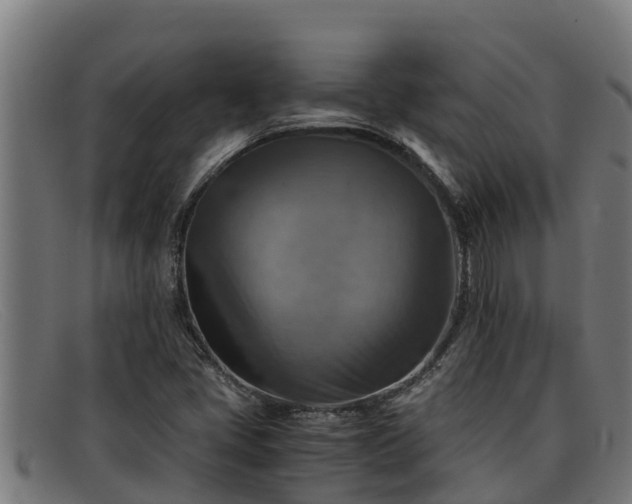 X0000091861405200709121321